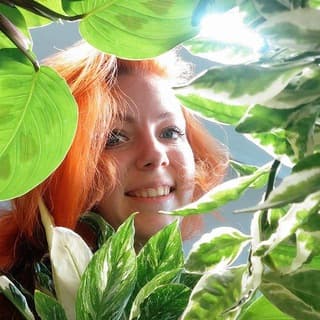 Лисьи Дебри