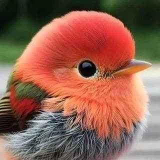 Добротерапевт💊