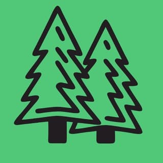 Хвойная линия