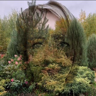 Ландшафтный эзотерик