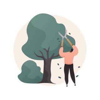 Садовый мастер - Александр Толстунов