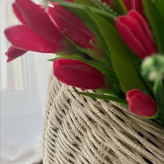 ※ СПЛЕТУ МЕЧТУ ※