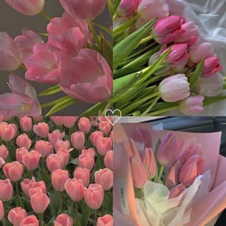 ТВ𐌏Й 𐌑ИР | 𐌑𐌏ТИВАЦИЯ | Эᥴᴛᥱᴛᥙκᥲ | 𐌿᧐жᥱ᧘ᥲнᥙя