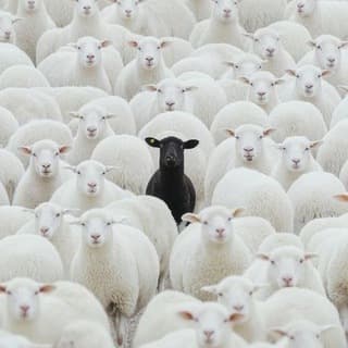 Африканец в России