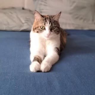 Веста и Компания😊