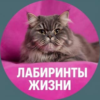 ЛАБИРИНТЫ ЖИЗНИ